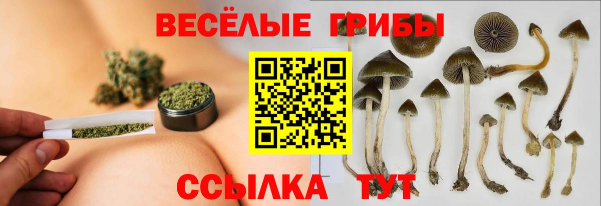 Губкинский  Галлюциногенные грибы мухоморы  Вход с VPN  где найти наркотики  Галлюциногенные грибы Cubensis 